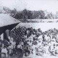Photographie reprsentant la fabrication des vanneries. 1875 (31S9)