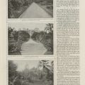 Le jardin de la villa Elonore, article de la Vie  la campagne 1908, AMC 11S31