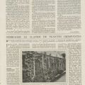 Parc de la villa Elonore, article de la Vie  la campagne 1908, suite 6
