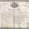 Brevet de capitaine au long cours, 1817 (AMC 11S64)