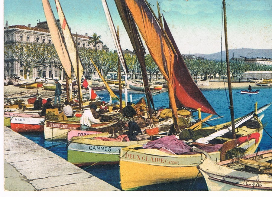 Vieux port de Cannes, barques ou pointus (AMC 44Fi199_11 - 66S3)