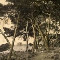 Promenade sur l'le, 1905, 6Fi28