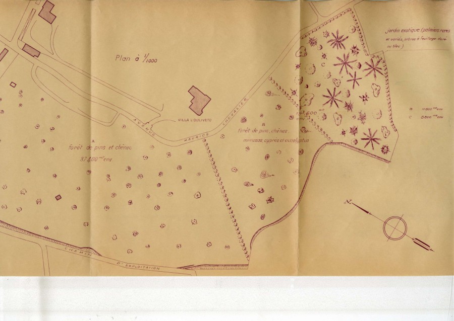 Plan des terrains de la proprit de Monsieur Dor, villa Oulivetto. 1956 (2S953)