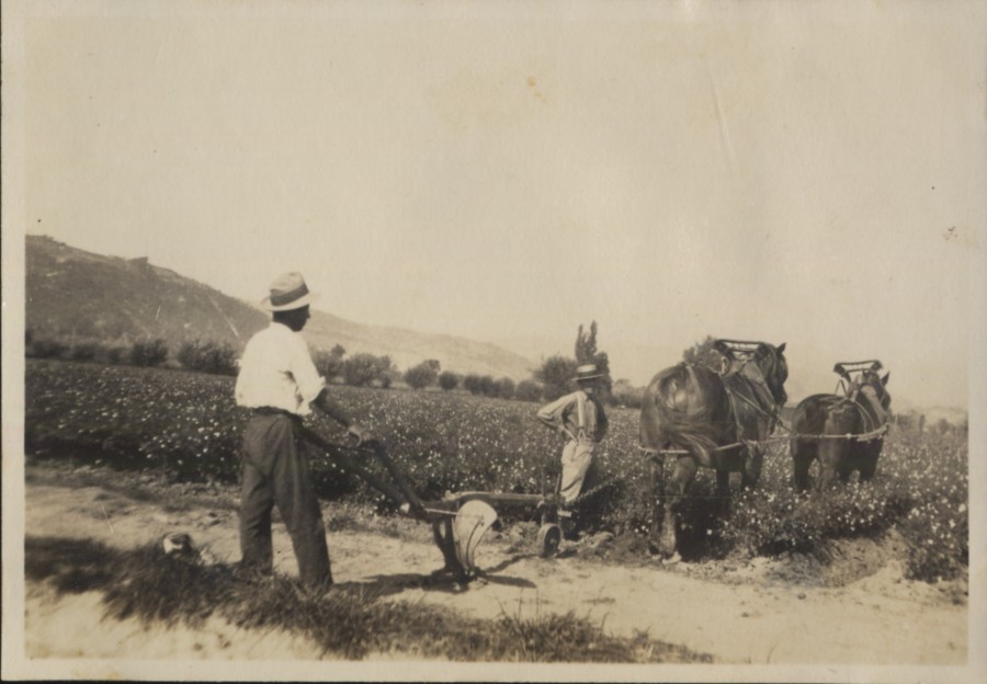 Photographie du domaine agricole de l'Abadie. 1930 (BH1144)