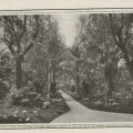 Parc de la villa Eléonore, article de la Vie à la campagne 1908, suite 4