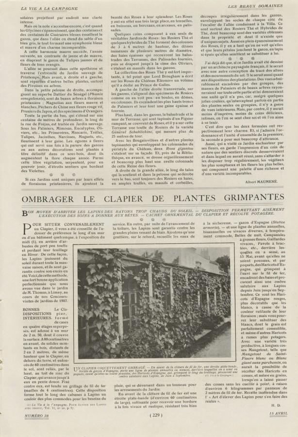 Parc de la villa Elonore, article de la Vie  la campagne 1908, suite 6