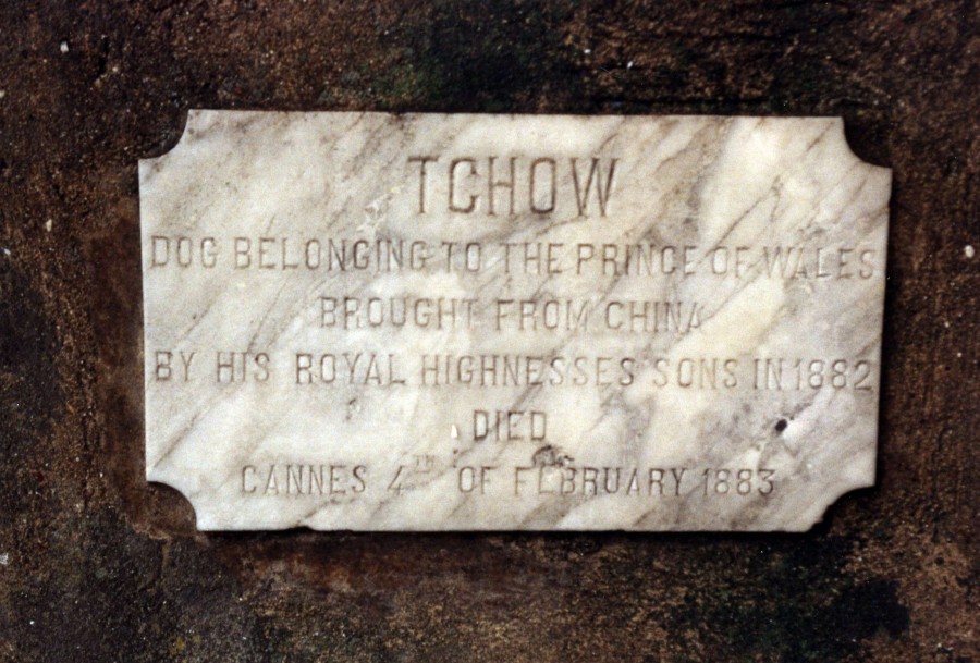 Souvenir du chien Tchow appartenant au Prince de Galles, mort en 1883 (32Fi1583)