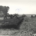 Photographie du déminage des plages de la Pointe Croisette, au niveau de la villa la Corne d'or, 1945-1946 (13Fi377)