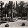 Jardin de la villa Campestra, AMC 2Fi1242