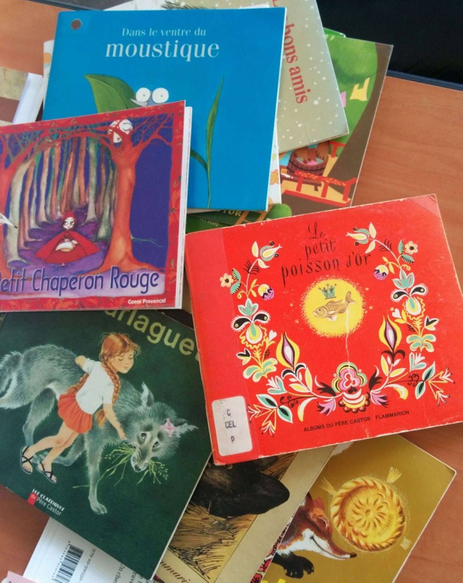 LIVRES CASTOR_mediathèque Cannes.jpg