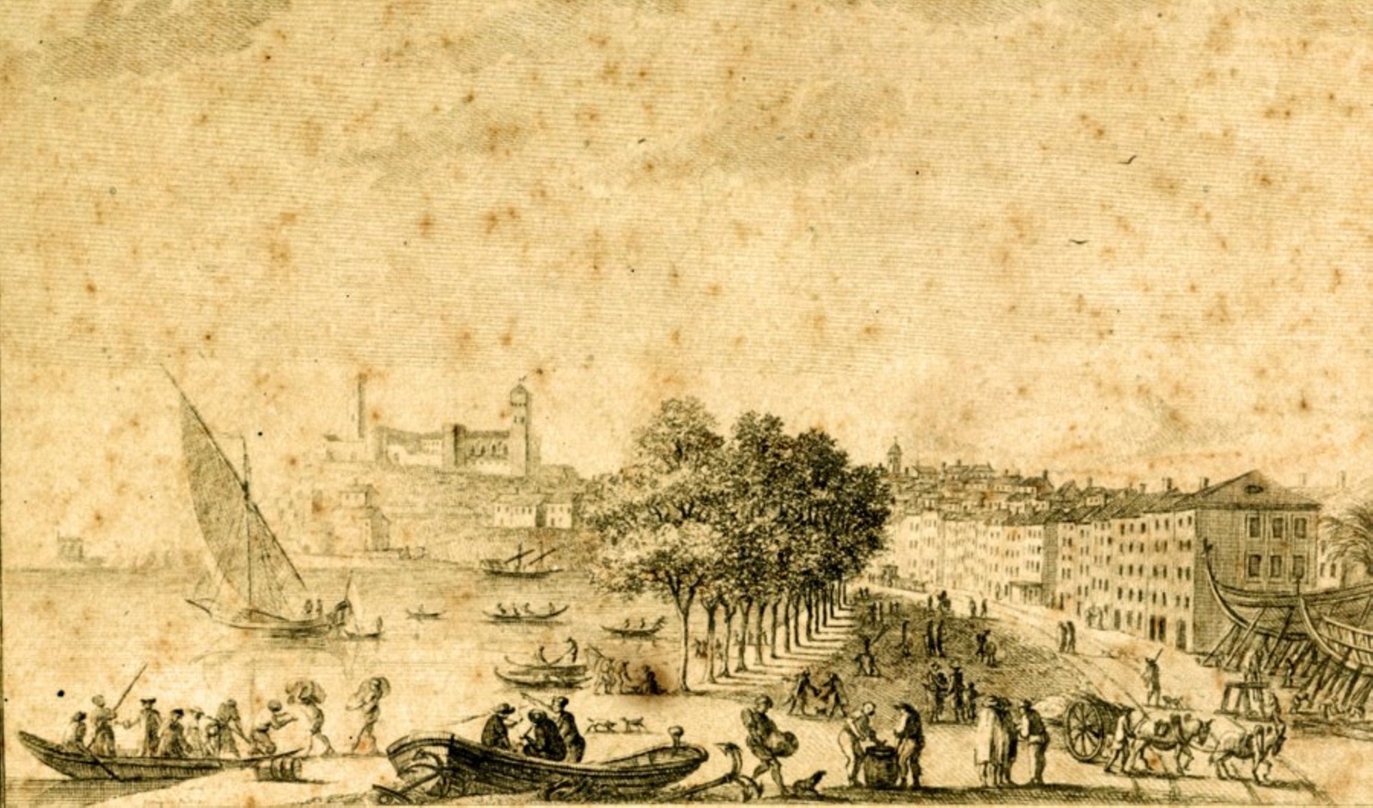 19S6, gravure de 1772.