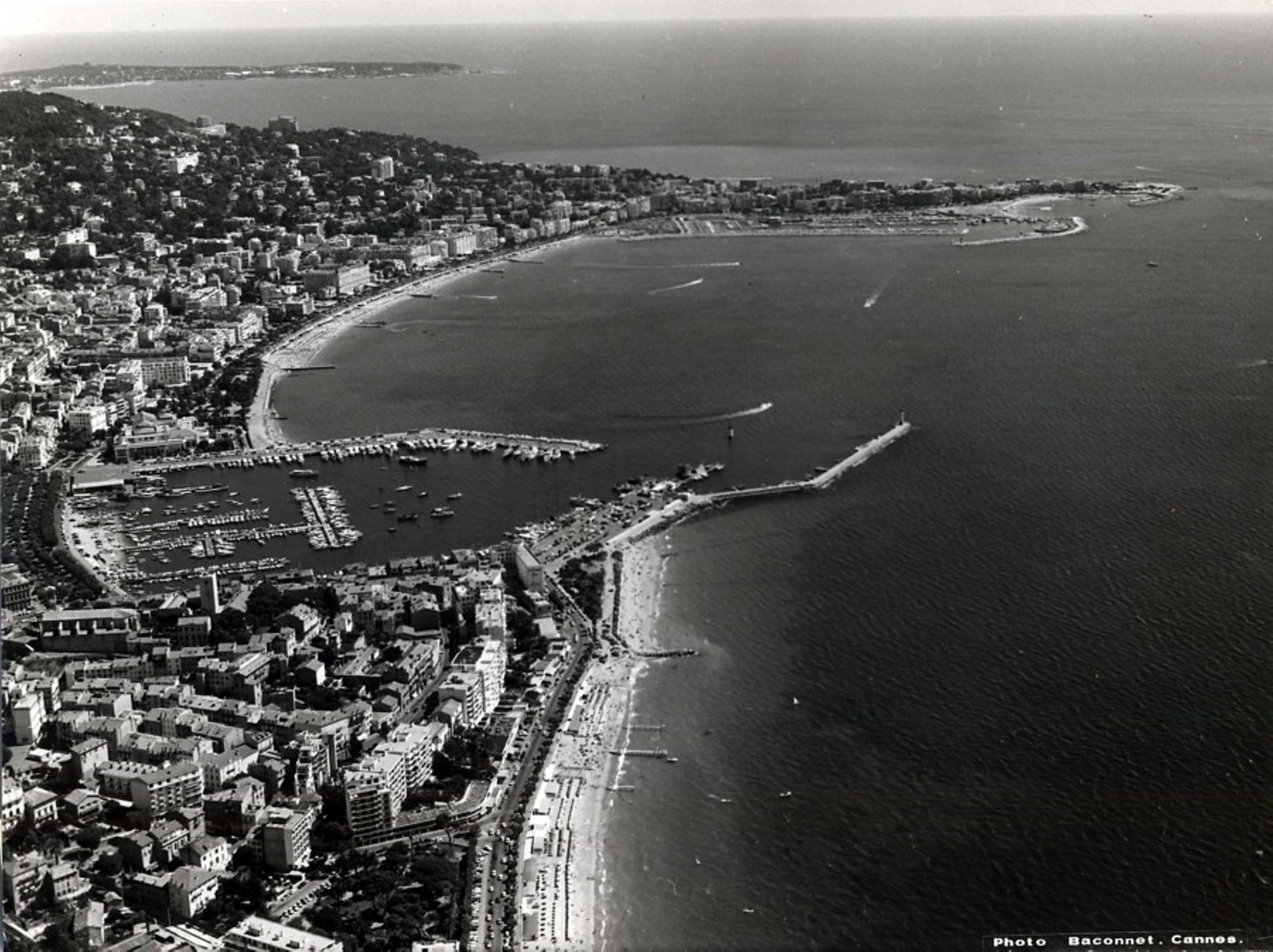 3Fi135 Phot Bacconnet