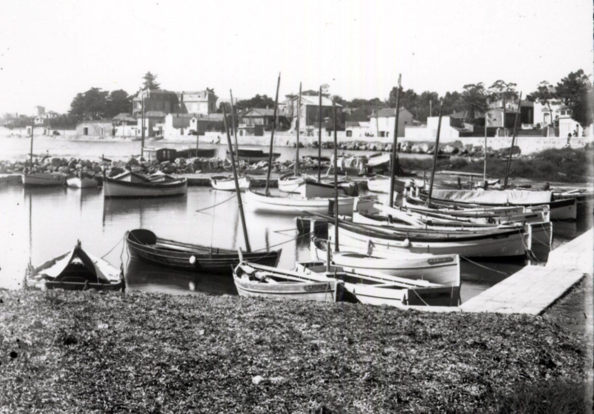 Quiz Cannes et la mer