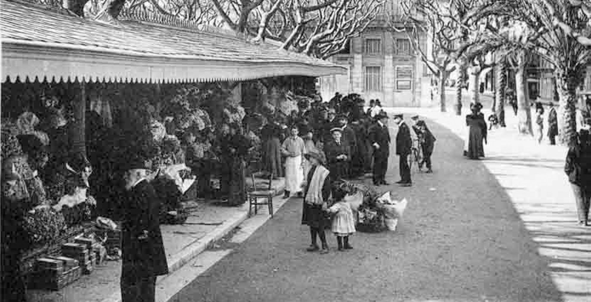 Histoire de Cannes adaptée au jeune âge