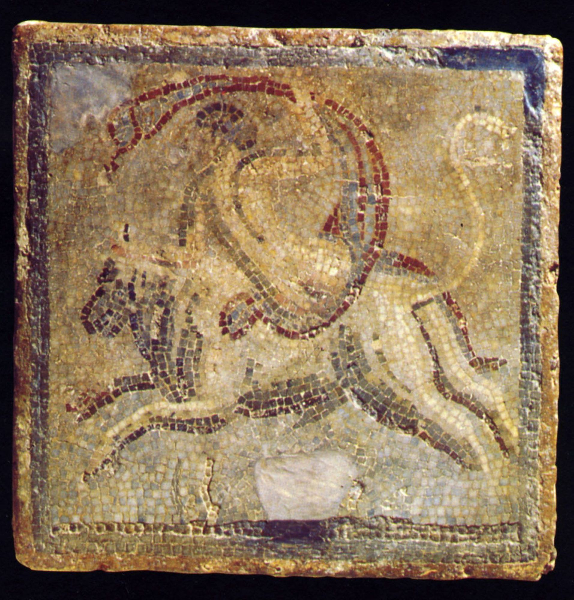 De l'Antiquité à l'époque des rois