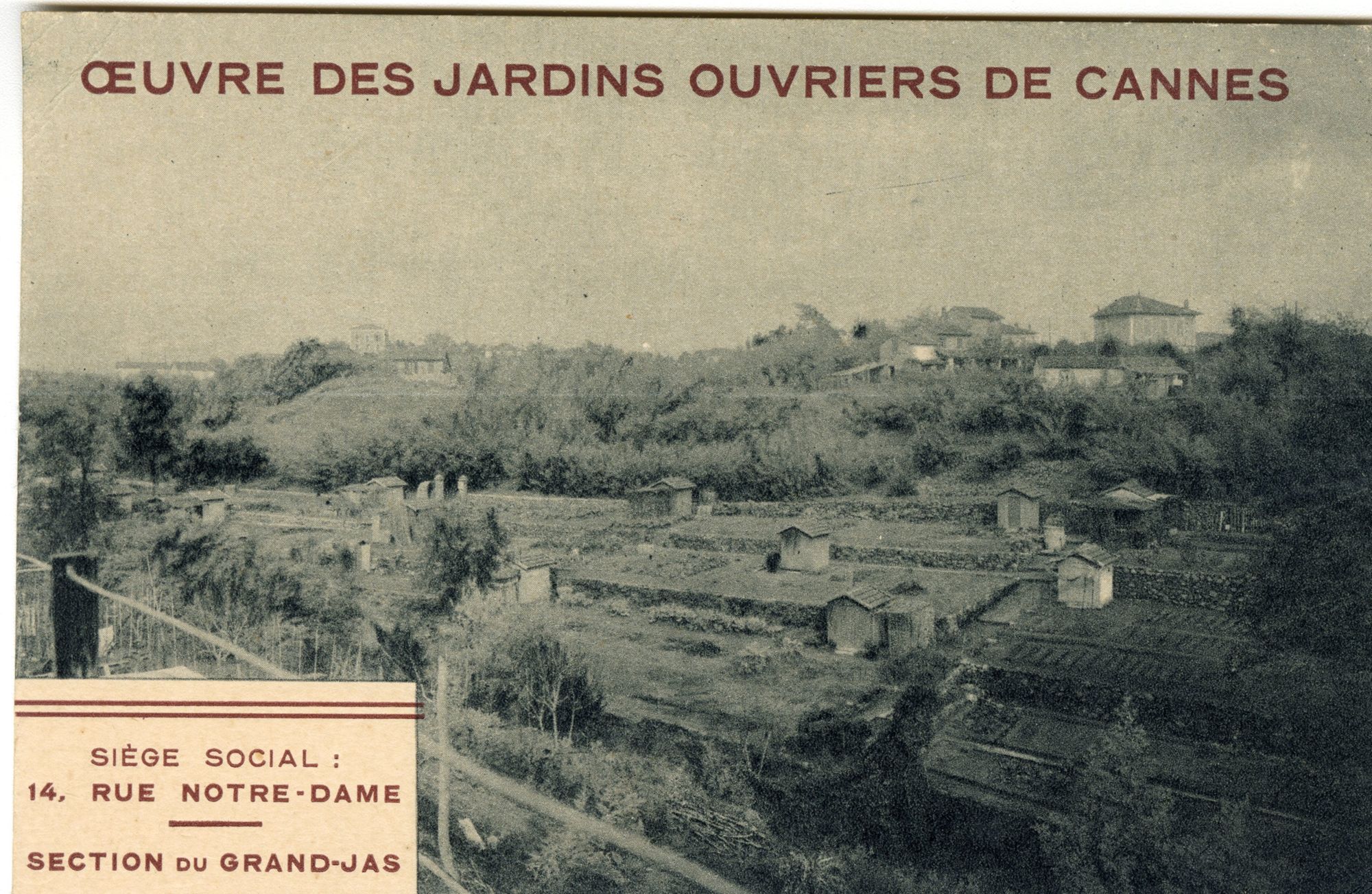 Œuvre des jardins ouvriers de Cannes, carte postale, non daté. AMC, 9Fi1148