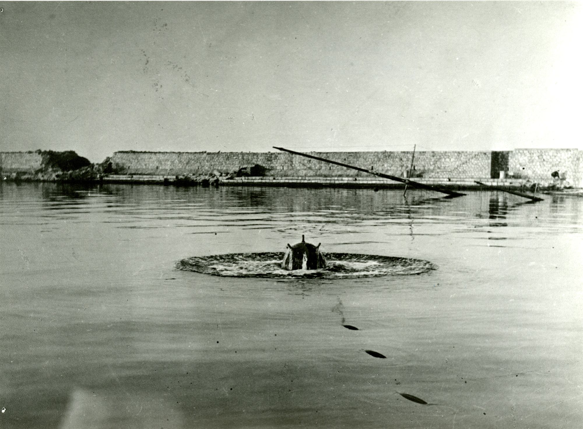 Une mine marine dans le port de Cannes, 1944. Photographie Cresta. AMC, 13Fi18