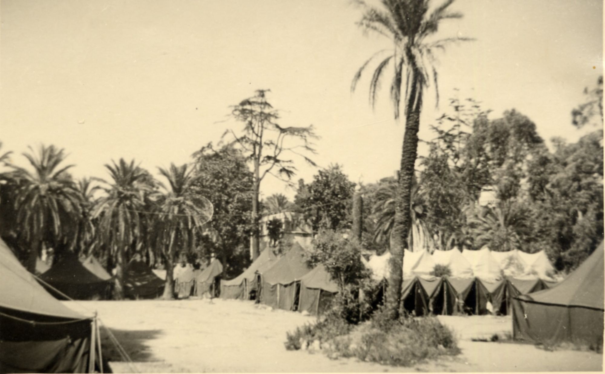 Le camp-auberge de jeunesse de La Bocca, vers 1950. Photographie anonyme. AMC, 9Fi811