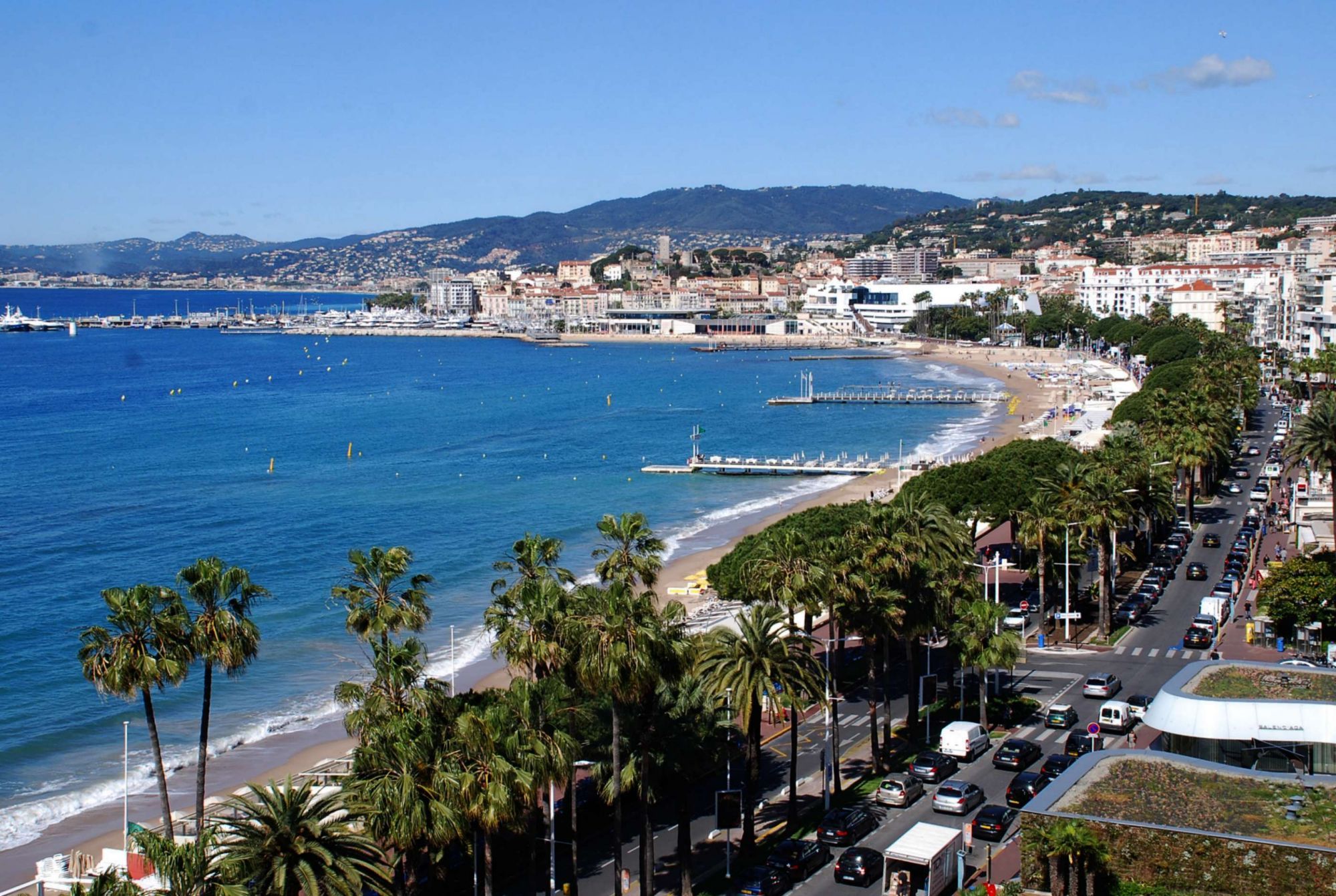 Végétaux de la Croisette