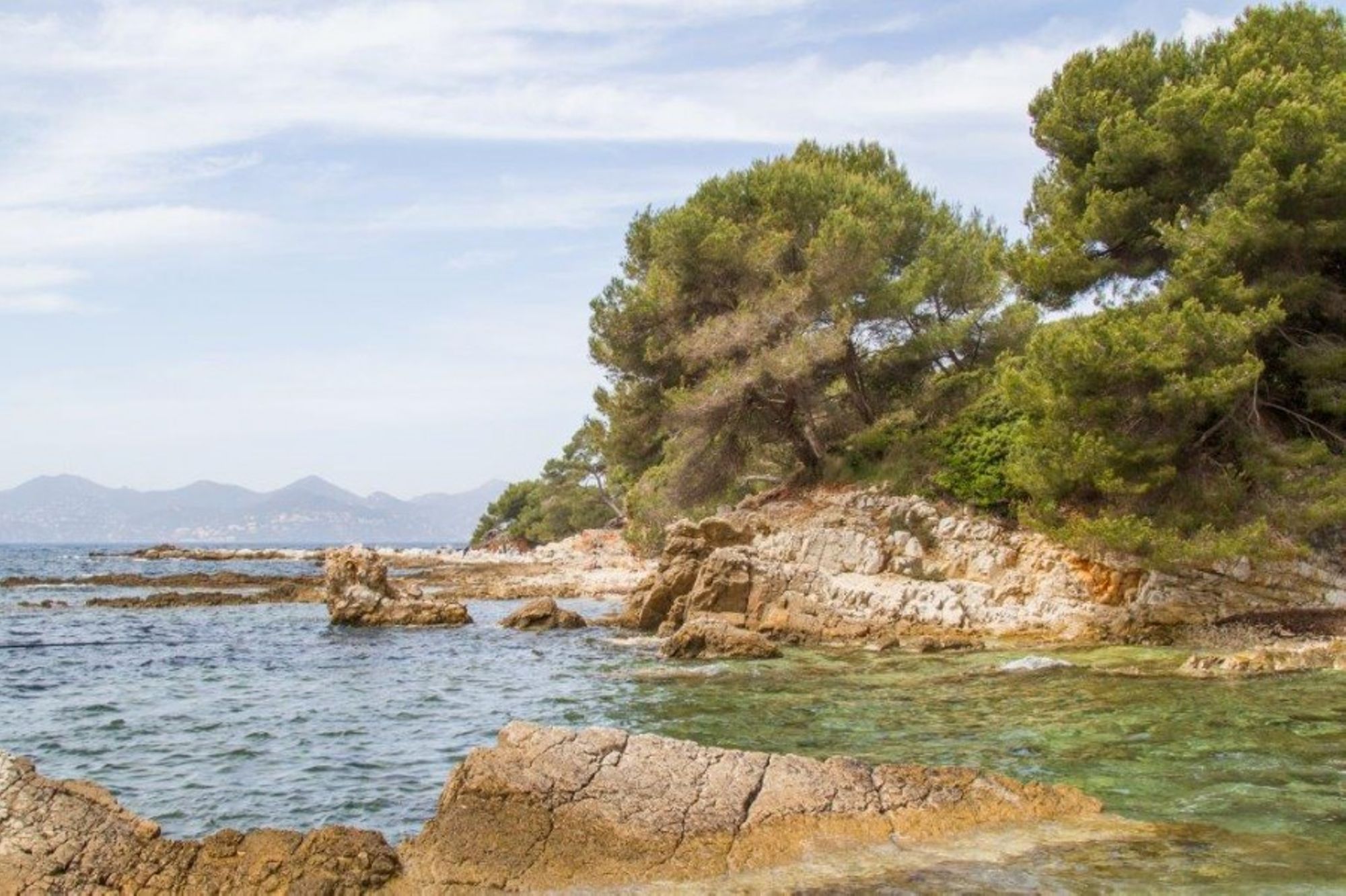 crique de l'+«le Ste Marguerite - 2-BD ®Ville de Cannes.jpg