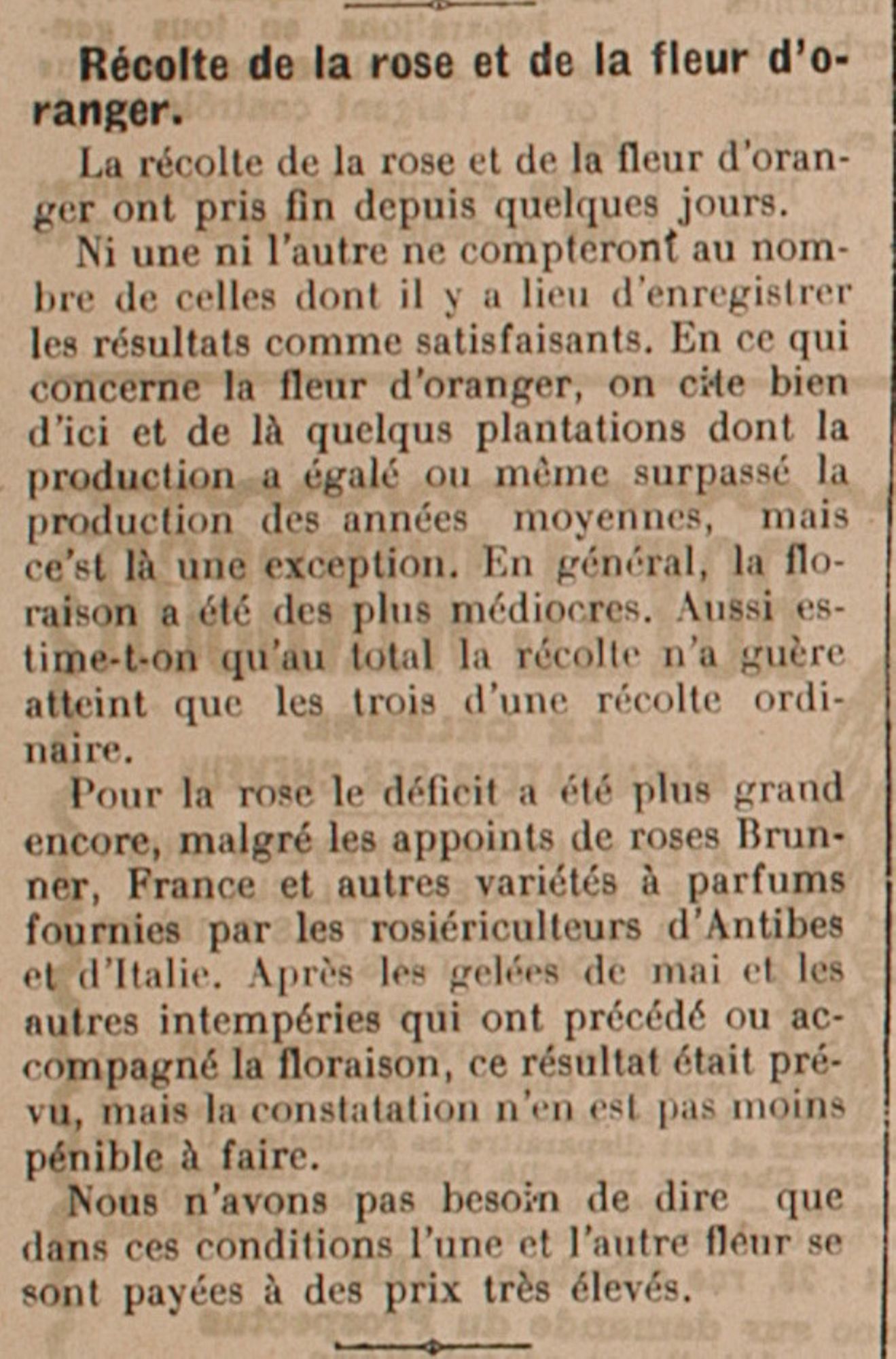Récolte de la rose et de la fleur d’oranger. Le Littoral, n° du 29 juin 1910. AMC, JX45.
